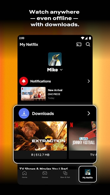 Netflix App  screenshot