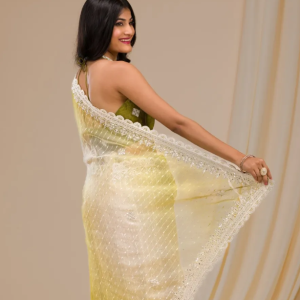 Mehendi Gotapatti Net Saree